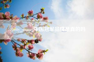 山南中国冠军品牌是真的吗