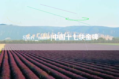 山南中国十七块金牌