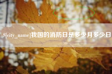 山南我国的消防日是多少月多少日