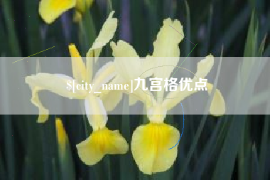 山南九宫格优点
