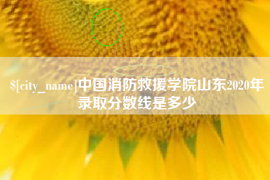 山南中国消防救援学院山东2020年录取分数线是多少