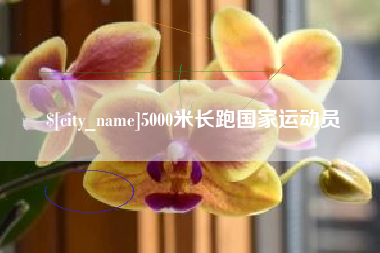 山南5000米长跑国家运动员