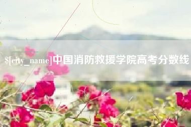 山南中国消防救援学院高考分数线