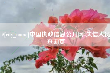 山南中国执政信息公开网-失信人员查询页