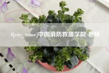 山南中国消防救援学院 老师