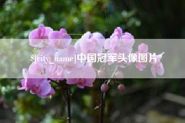 山南中国冠军头像图片