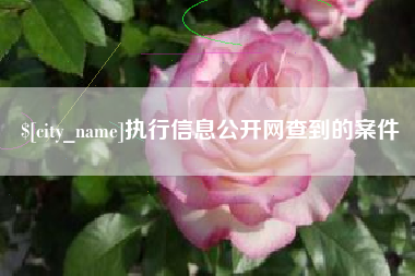 山南执行信息公开网查到的案件