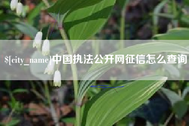 山南中国执法公开网征信怎么查询