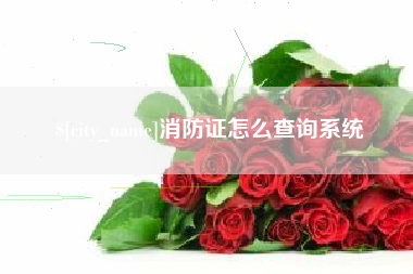 山南消防证怎么查询系统