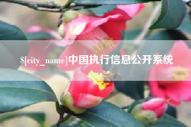 山南中国执行信息公开系统