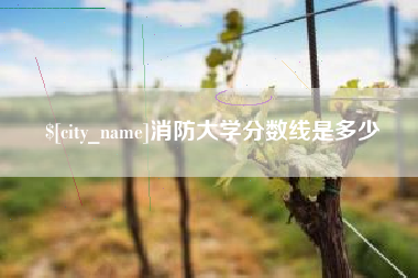 山南消防大学分数线是多少