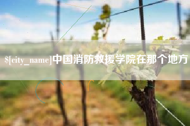 山南中国消防救援学院在那个地方