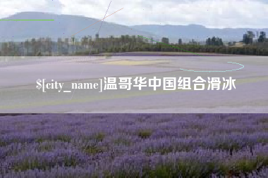 山南温哥华中国组合滑冰