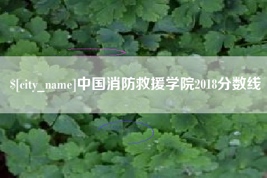 山南中国消防救援学院2018分数线