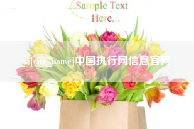 山南中国执行网信息官网