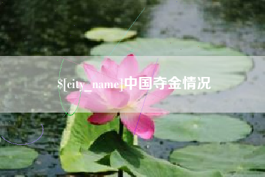 山南中国夺金情况