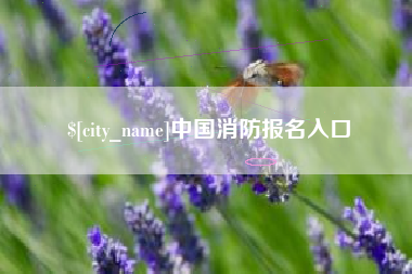 山南中国消防报名入口
