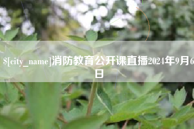 山南消防教育公开课直播2024年9月6日