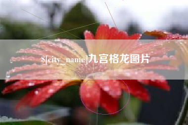 山南九宫格龙图片