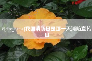山南我国消防日是哪一天消防宣传日
