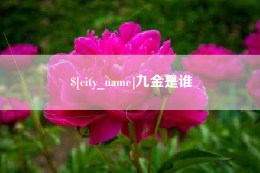 山南九金是谁