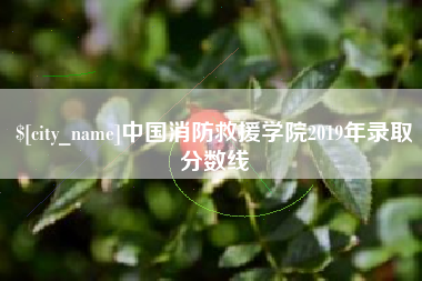 山南中国消防救援学院2019年录取分数线