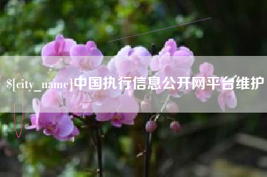 山南中国执行信息公开网平台维护