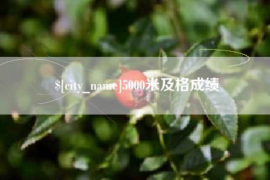 山南5000米及格成绩