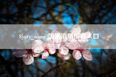 山南国家消防报名入口