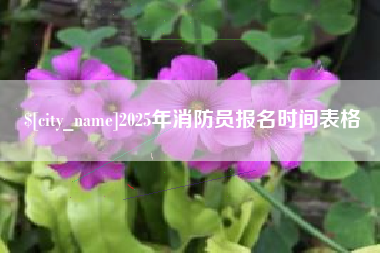 山南2025年消防员报名时间表格