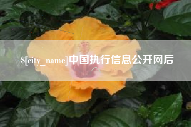 山南中国执行信息公开网后