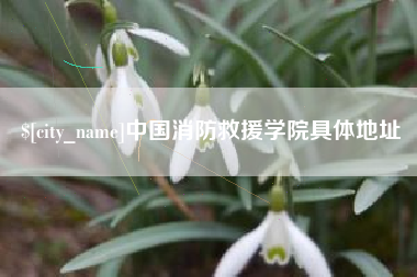 山南中国消防救援学院具体地址