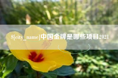山南中国金牌是哪些项目2021