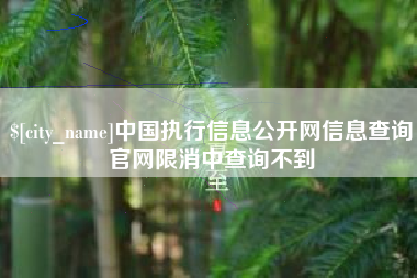 山南中国执行信息公开网信息查询官网限消中查询不到