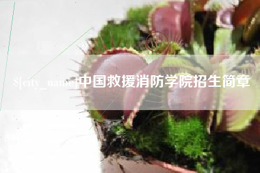 山南中国救援消防学院招生简章