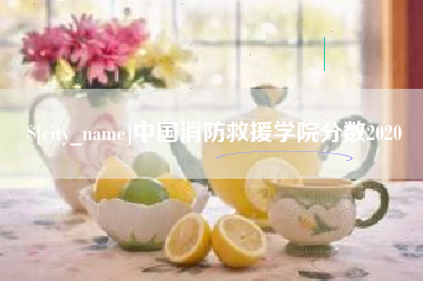 山南中国消防救援学院分数2020