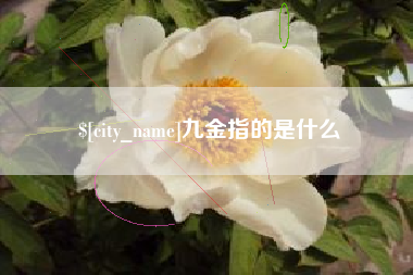 山南九金指的是什么