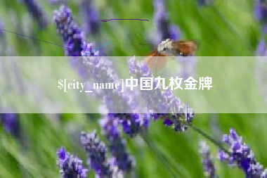 山南中国九枚金牌