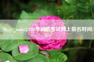 山南2020年消防考试网上报名时间