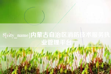 山南内蒙古自治区消防技术服务执业管理平台