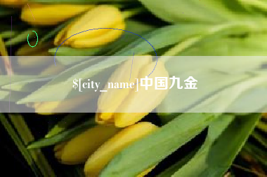 山南中国九金