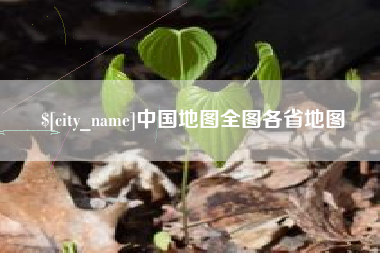 山南中国地图全图各省地图