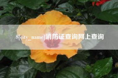 山南消防证查询网上查询