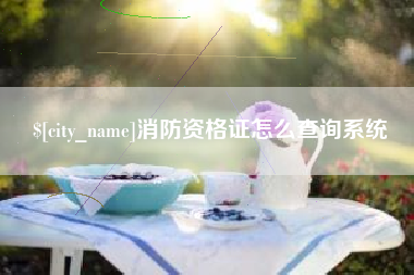 山南消防资格证怎么查询系统