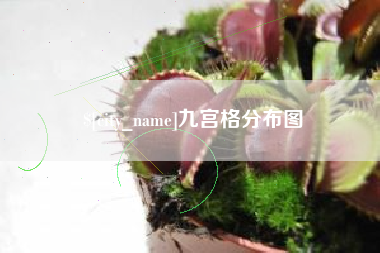 山南九宫格分布图