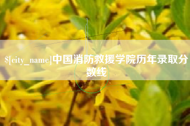 山南中国消防救援学院历年录取分数线