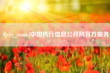 山南中国执行信息公开网官方服务