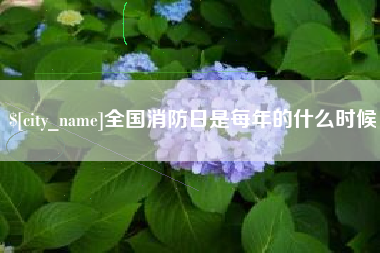 山南全国消防日是每年的什么时候