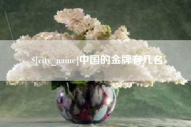 山南中国的金牌有几名
