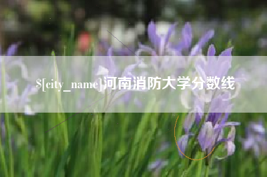 山南河南消防大学分数线